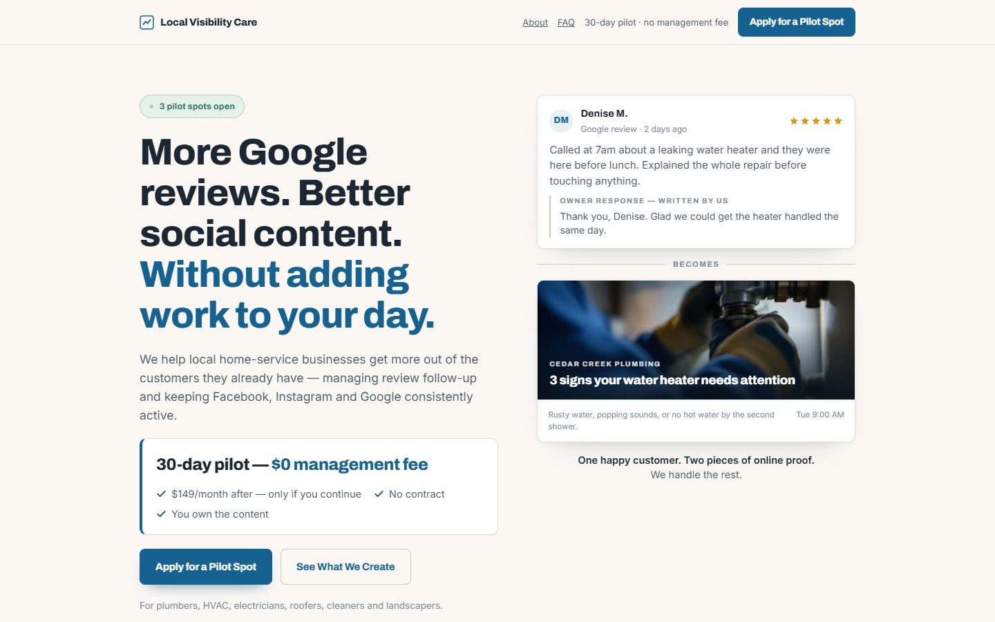 Local Visibility Care landing page, hero with pilot offer and review card